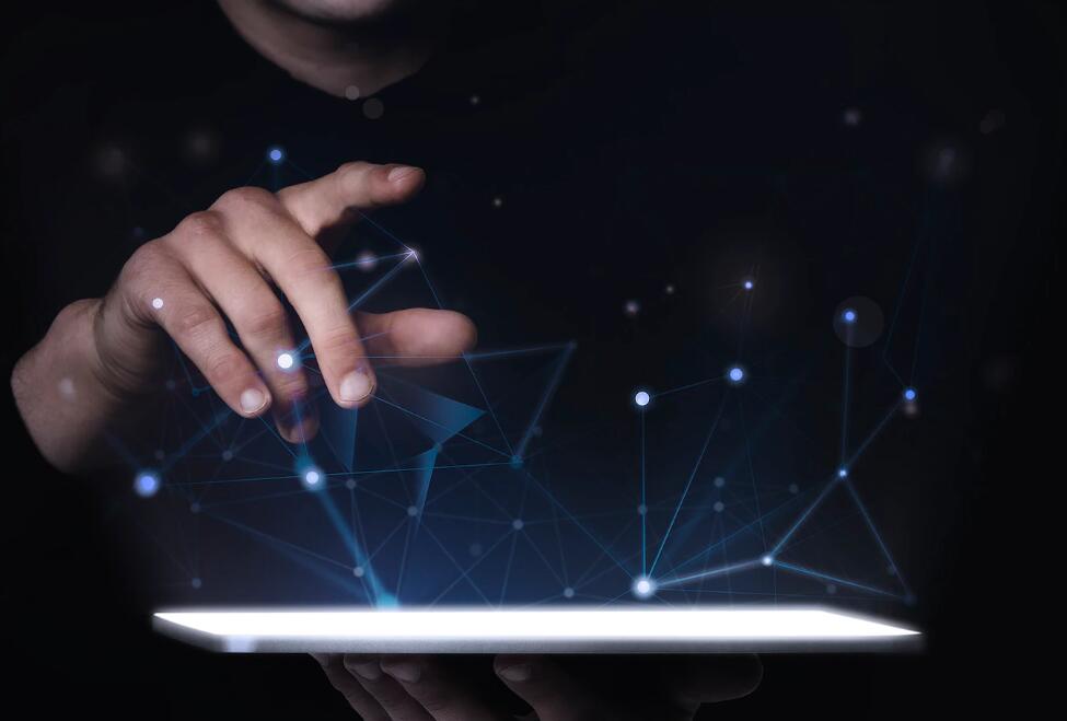 鸟类各有什么象征意义呢 鸟类可不管什么荣耀